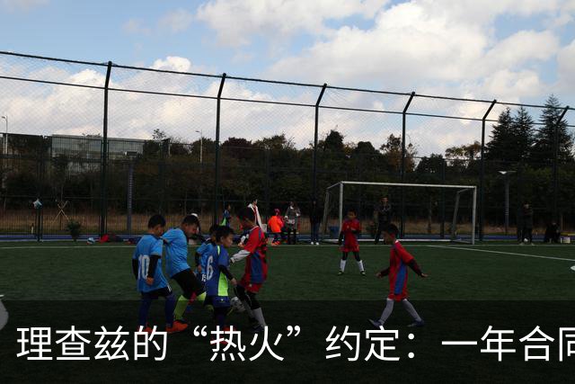 理查兹的“热火”约定：一年合同，如同馋人的甜点